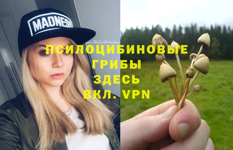 наркошоп  Батайск  Галлюциногенные грибы Magic Shrooms 